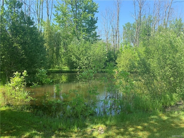 view of nature with a water view