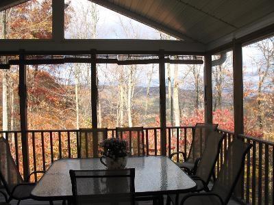 sunroom with lofted ceiling