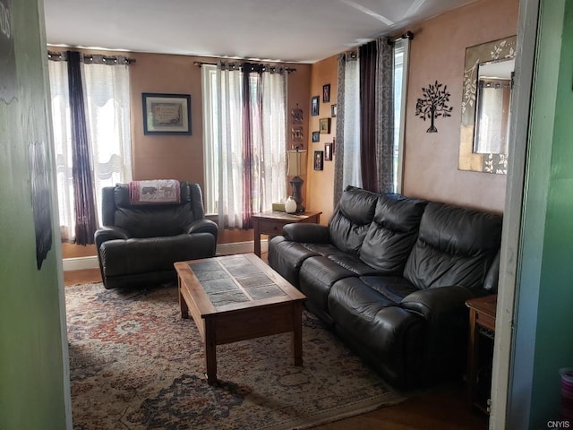 living room featuring a wealth of natural light