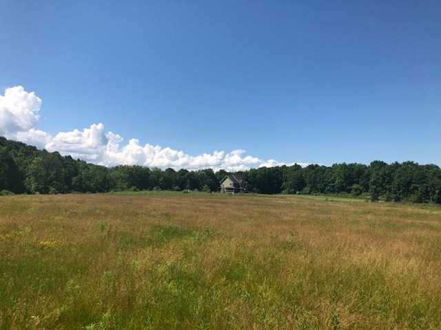 Listing photo 2 for Lot12 Bailey Road, East Bloomfield NY 14469