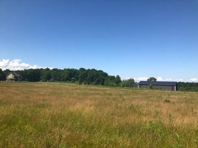 Listing photo 3 for Lot12 Bailey Road, East Bloomfield NY 14469