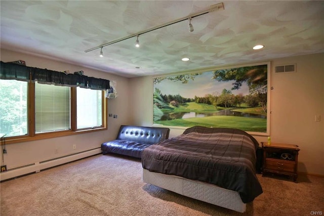 bedroom featuring carpet floors, a baseboard radiator, and track lighting