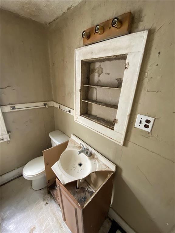 bathroom with toilet and vanity