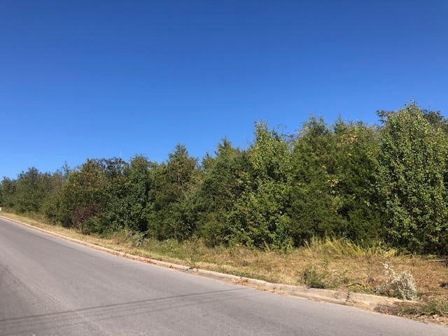 TBD Kentucky Ave, West Plains, MO 65775