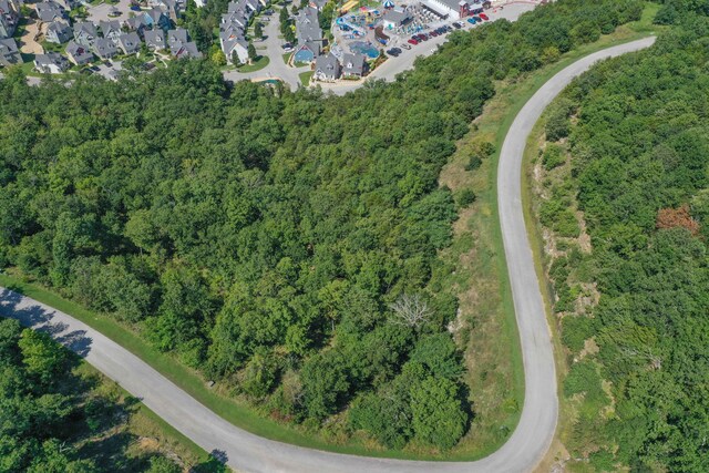 LOT37 Canyon Ests, Branson, MO 65616 - photo 9