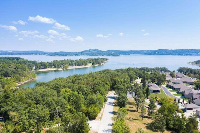 bird's eye view featuring a water and mountain view