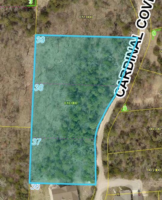 Listing photo 3 for LOT37-39 Cardinal Cove Ln, Kimberling City MO 65686