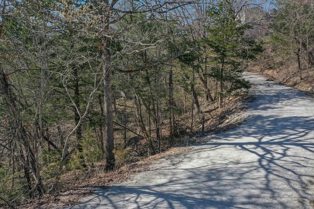 LOT37-39 Cardinal Cove Ln, Kimberling City, MO 65686 - photo 16