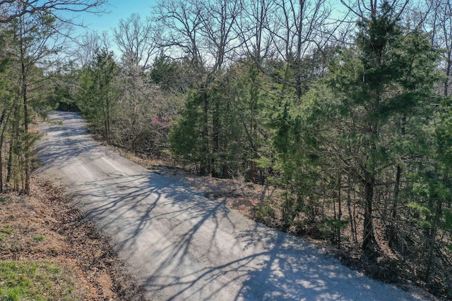 LOT37-39 Cardinal Cove Ln, Kimberling City, MO 65686 - photo 15