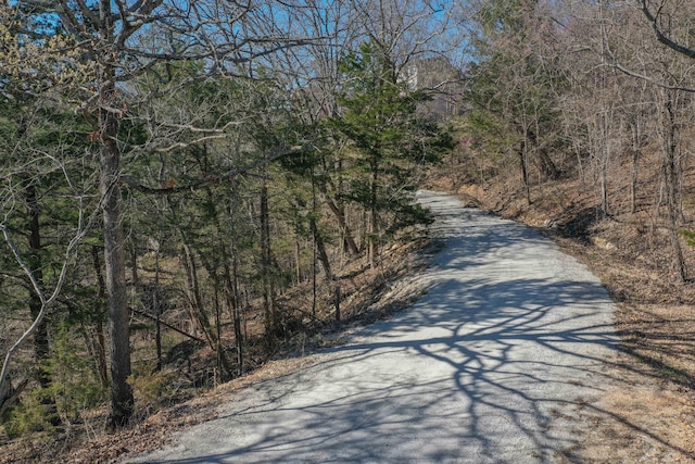LOT37-39 Cardinal Cove Ln, Kimberling City, MO 65686 - photo 17
