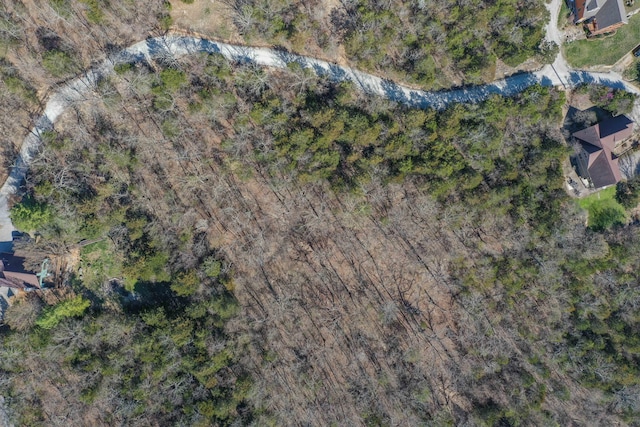 LOT37-39 Cardinal Cove Ln, Kimberling City, MO 65686 - photo 4