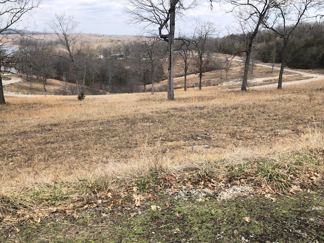 TBD1.17 Farm Road 2250, Golden MO, 65658 land for sale