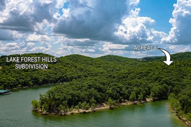 10 Sterling Oaks Ln, Branson West, MO 65737 - photo 8
