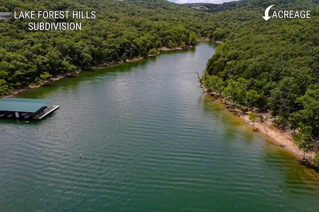 10 Sterling Oaks Ln, Branson West, MO 65737 - photo 6