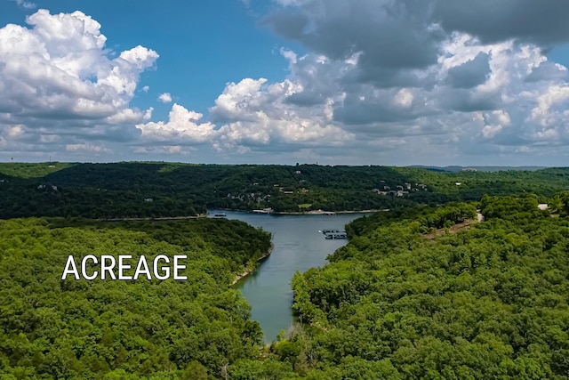 10 Sterling Oaks Ln, Branson West, MO 65737 - photo 16