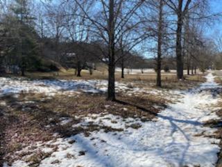 000 Foggy River Rd, Hollister, MO 65672 - photo 1