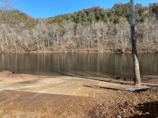 000 Foggy River Rd, Hollister, MO 65672 - photo 5