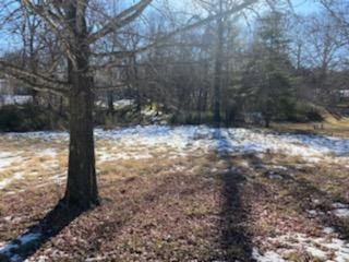 000 Foggy River Rd, Hollister, MO 65672 - photo 4