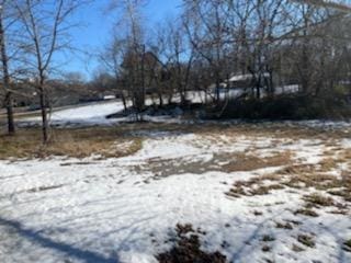 000 Foggy River Rd, Hollister, MO 65672 - photo 3