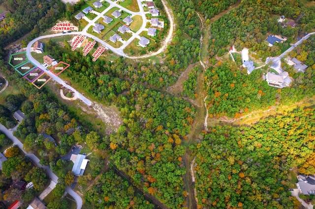 drone / aerial view