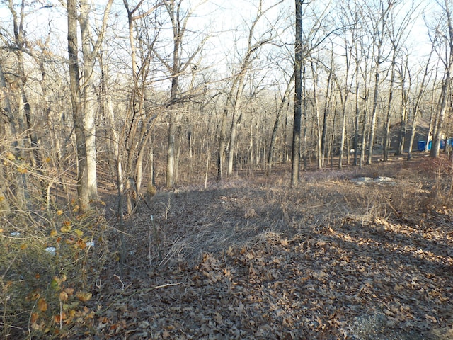 Listing photo 2 for LOT45 Talking Rocks Rd, Branson West MO 65737