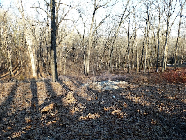 Listing photo 3 for LOT45 Talking Rocks Rd, Branson West MO 65737