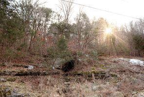 LOT213 Lone Oak Dr, Cape Fair, MO 65624