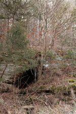 LOT213 Lone Oak Dr, Cape Fair, MO 65624