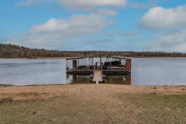 dock area with a water view