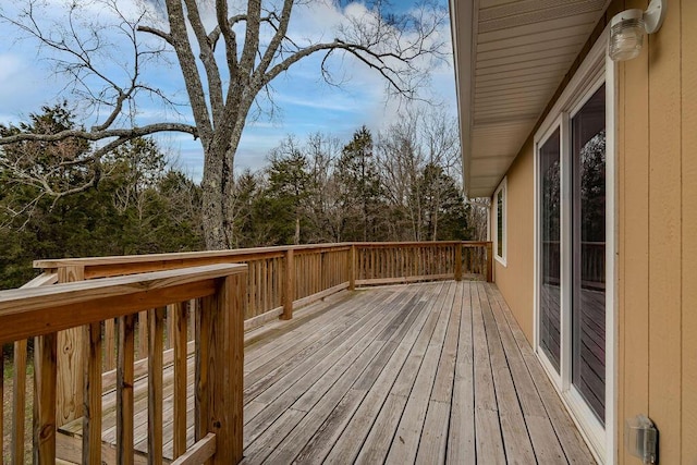 126 Soper Ln, Branson, MO 65616 - photo 33