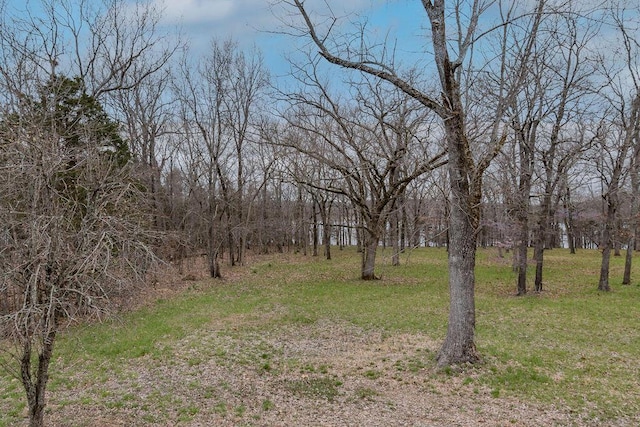 126 Soper Ln, Branson, MO 65616 - photo 4