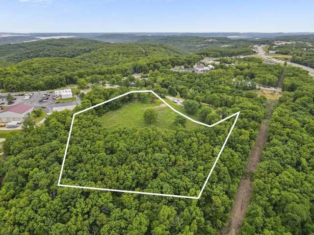 TBD Lewallen Ln, Branson West, MO 65737