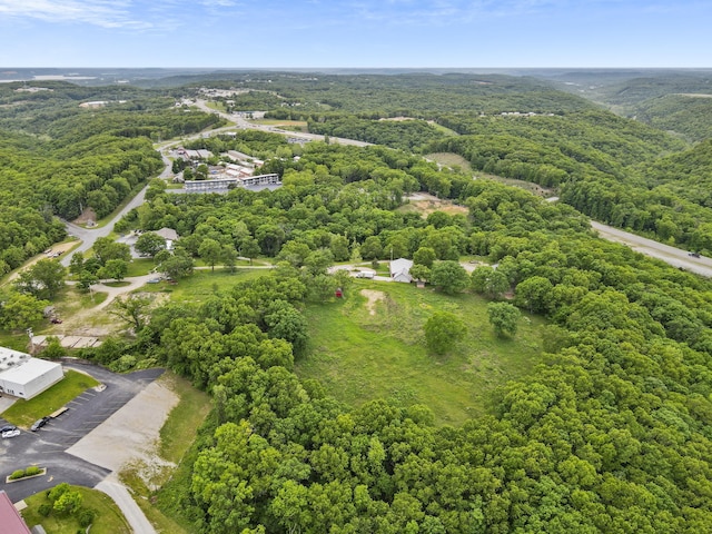 TBD Lewallen Ln, Branson West, MO 65737