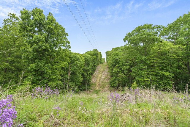 TBD Crevis Rd, Branson West, MO 65737