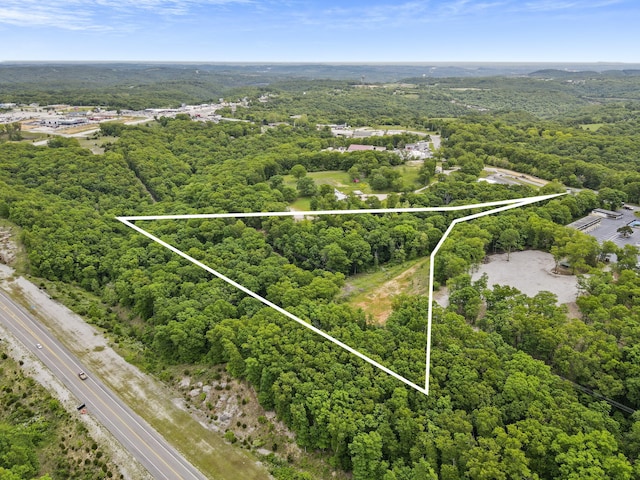 Listing photo 2 for TBD Crevis Rd, Branson West MO 65737