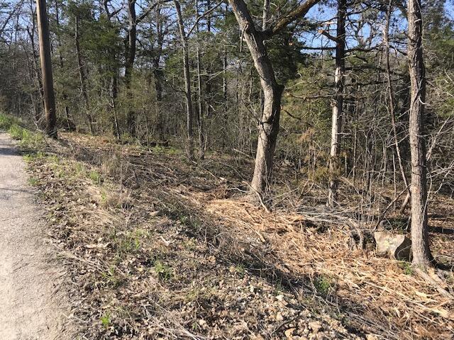 12 Cliff Dr Lot 9, 10, Merriam Woods, MO 65740