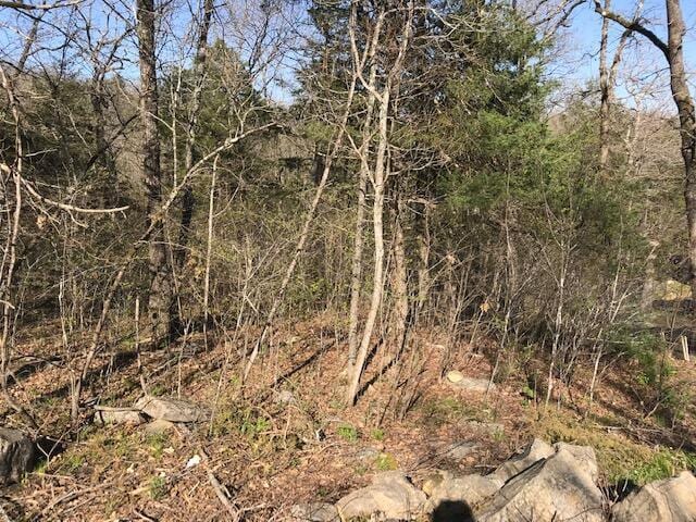 12 Cliff Dr Lot 9, 10, Merriam Woods, MO 65740