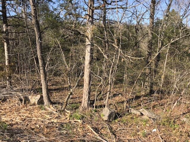 12 Cliff Dr Lot 9, 10, Merriam Woods, MO 65740