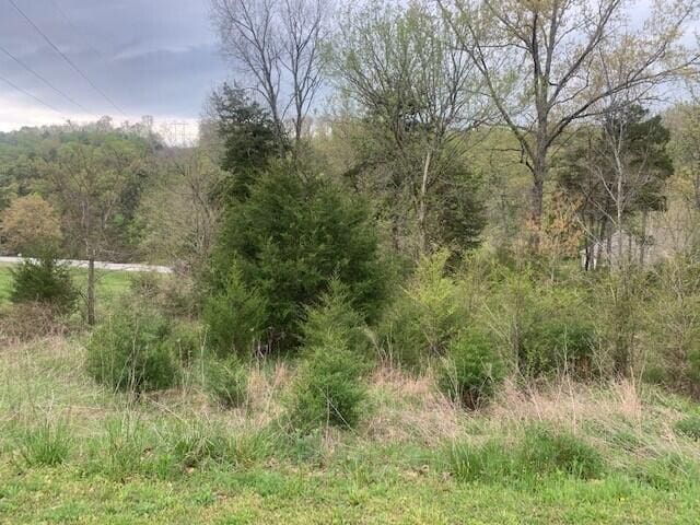 Listing photo 2 for LOT26 Roark Branch Dr, Branson West MO 65737