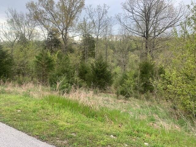 Listing photo 3 for LOT26 Roark Branch Dr, Branson West MO 65737