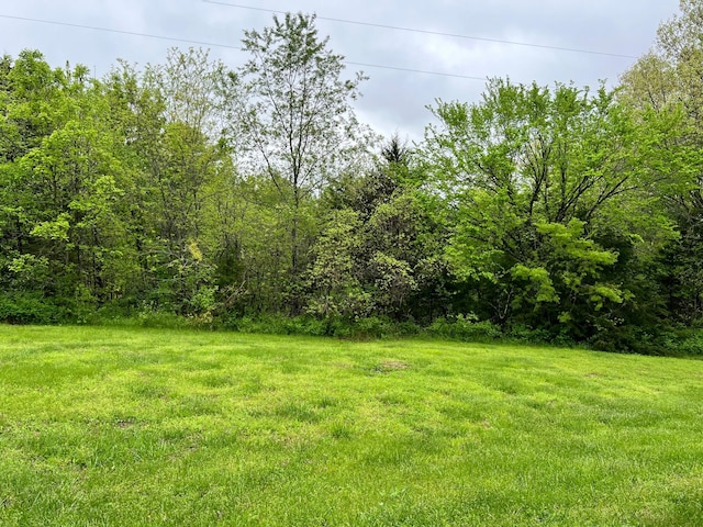 Listing photo 3 for LOT48 Summit Ln, Cape Fair MO 65624