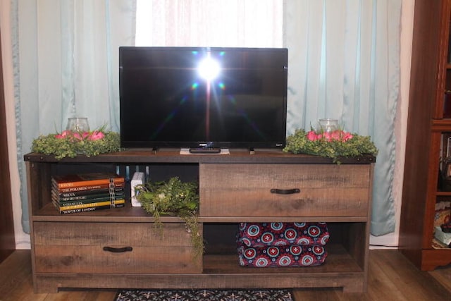 interior details with hardwood / wood-style floors