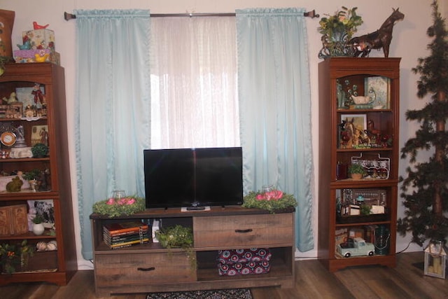 living room with dark hardwood / wood-style floors