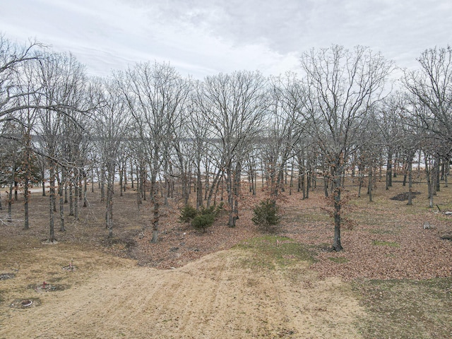 view of nature featuring a rural view