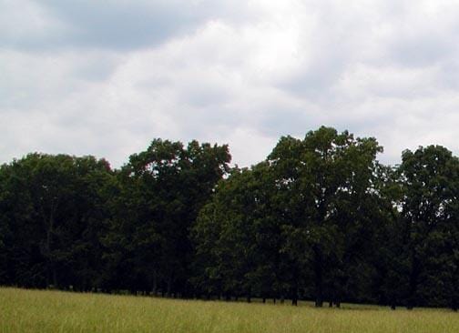 000 US Highway 160 W, West Plains, MO 65775