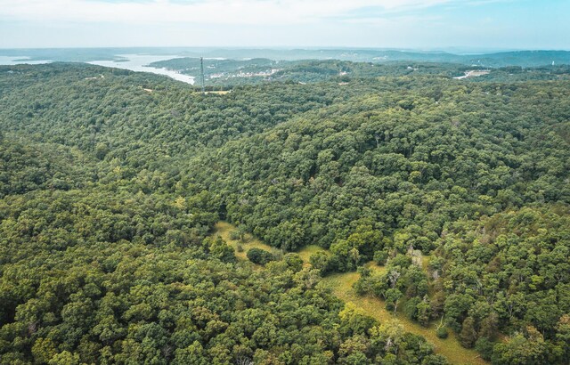 000 State Highway 265, Branson, MO 65616 - photo 4