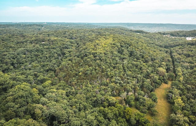 000 State Highway 265, Branson, MO 65616 - photo 10