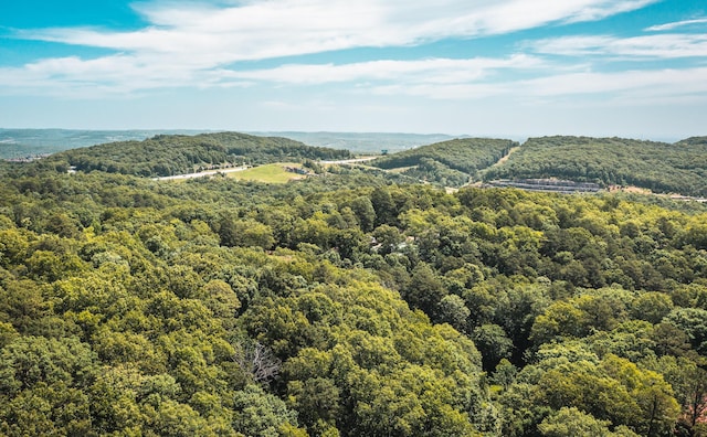 000 State Highway 265, Branson, MO 65616 - photo 7