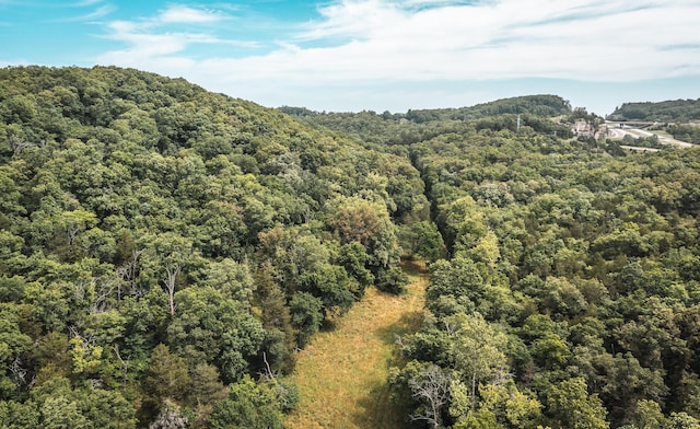 000 State Highway 265, Branson, MO 65616 - photo 13