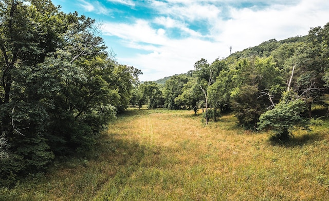 000 State Highway 265, Branson, MO 65616 - photo 15